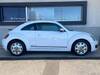 VOLKSWAGEN THE BEETLE