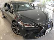 2021 LEXUS ES