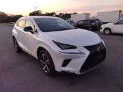 2019 LEXUS NX