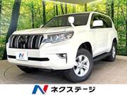2019 TOYOTA LAND CRUISER PRADO TX