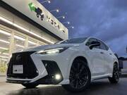 2023 LEXUS NX