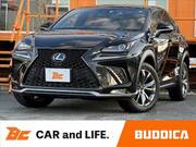 2017 LEXUS NX
