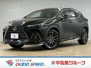 2022 LEXUS NX