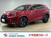 2020 LEXUS NX