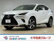 2019 LEXUS NX
