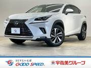 2018 LEXUS NX