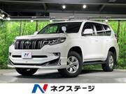 2019 TOYOTA LAND CRUISER PRADO TX