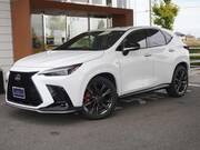 2022 LEXUS NX