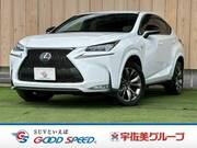 2016 LEXUS NX