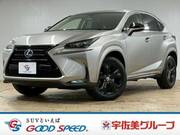 2017 LEXUS NX