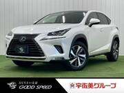2019 LEXUS NX