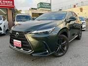 2024 LEXUS NX