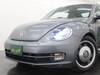 VOLKSWAGEN THE BEETLE