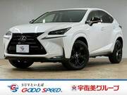 2017 LEXUS NX