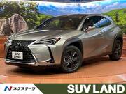 2019 LEXUS UX