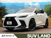 2025 LEXUS NX