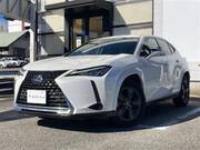 2019 LEXUS UX