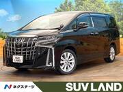 2019 TOYOTA ALPHARD 2.5S