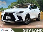 2023 LEXUS NX
