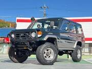 1999 TOYOTA LAND CRUISER ZX