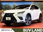 2019 LEXUS NX
