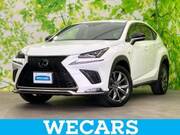2020 LEXUS NX
