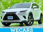2019 LEXUS NX