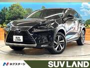 2019 LEXUS NX