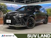 2023 LEXUS NX