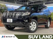 2023 TOYOTA LAND CRUISER PRADO TX