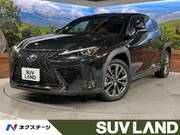 2021 LEXUS UX