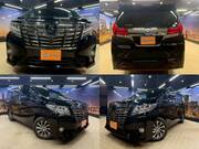 2015 TOYOTA ALPHARD