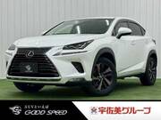 2018 LEXUS NX