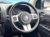 CHRYSLER JEEP COMPASS