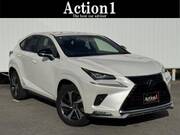 2021 LEXUS NX