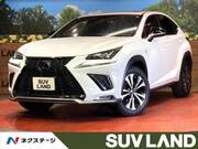 2019 LEXUS NX