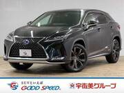 2021 LEXUS RX