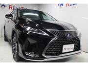 2019 LEXUS RX