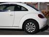 VOLKSWAGEN THE BEETLE