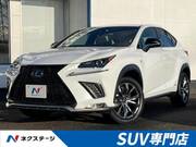 2019 LEXUS NX