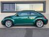 VOLKSWAGEN THE BEETLE