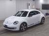 VOLKSWAGEN THE BEETLE