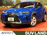 2019 LEXUS UX