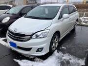 2009 TOYOTA MARK X ZIO