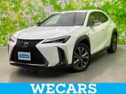 2019 LEXUS UX