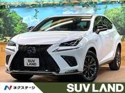 2020 LEXUS NX
