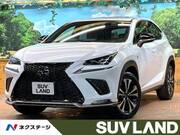 2020 LEXUS NX