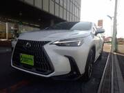 2023 LEXUS NX
