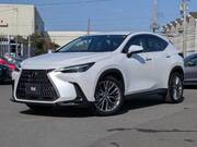 2023 LEXUS NX
