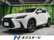 2023 LEXUS NX